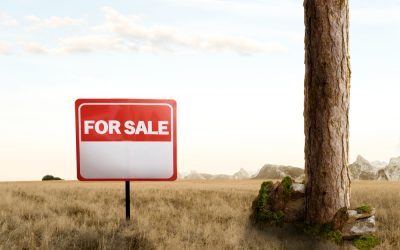 Quels sont les prix des terrains agricoles en Algérie, en France et en Espagne ?